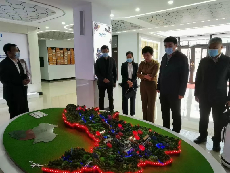 图片27